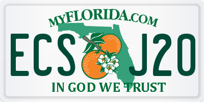 FL license plate ECSJ20