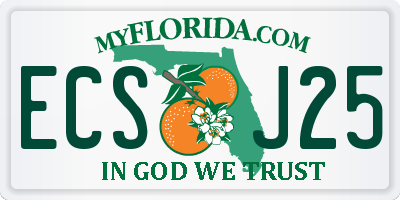 FL license plate ECSJ25
