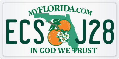 FL license plate ECSJ28