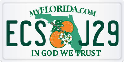 FL license plate ECSJ29