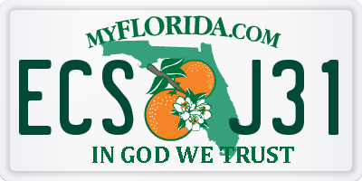 FL license plate ECSJ31