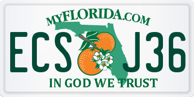 FL license plate ECSJ36