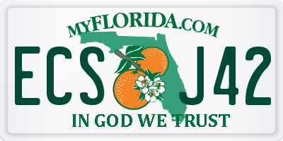 FL license plate ECSJ42