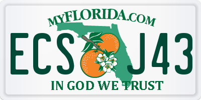 FL license plate ECSJ43