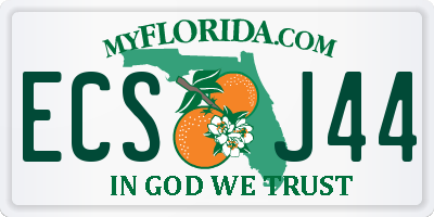 FL license plate ECSJ44