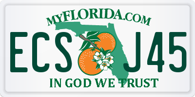 FL license plate ECSJ45