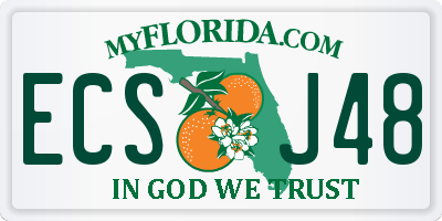 FL license plate ECSJ48