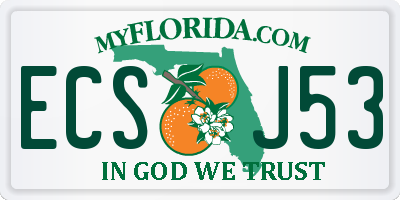 FL license plate ECSJ53