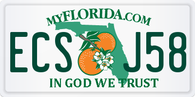 FL license plate ECSJ58