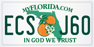 FL license plate ECSJ60