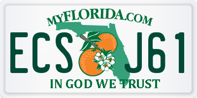 FL license plate ECSJ61