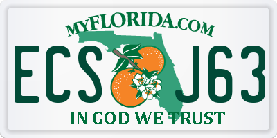 FL license plate ECSJ63