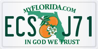 FL license plate ECSJ71