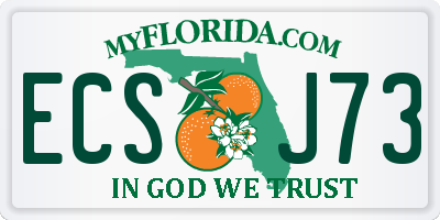 FL license plate ECSJ73