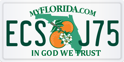 FL license plate ECSJ75