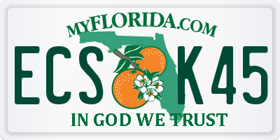 FL license plate ECSK45