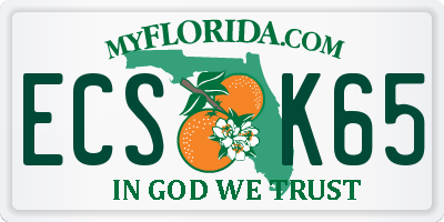 FL license plate ECSK65