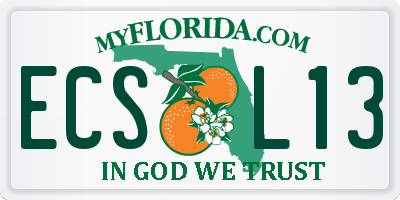 FL license plate ECSL13