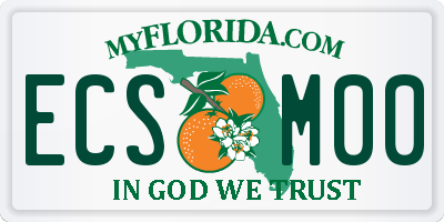 FL license plate ECSM00