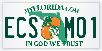 FL license plate ECSM01