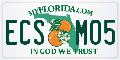 FL license plate ECSM05