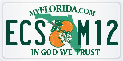 FL license plate ECSM12