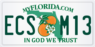 FL license plate ECSM13