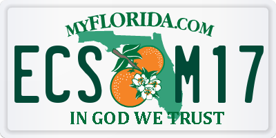 FL license plate ECSM17