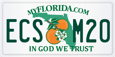 FL license plate ECSM20