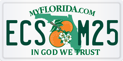 FL license plate ECSM25