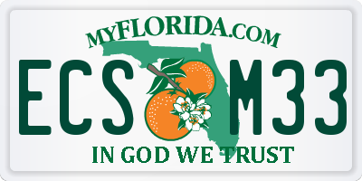 FL license plate ECSM33