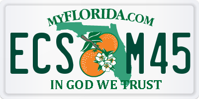 FL license plate ECSM45