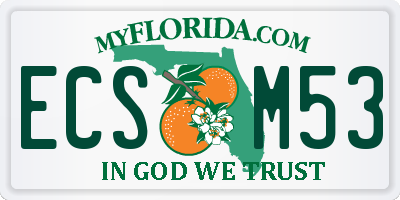 FL license plate ECSM53