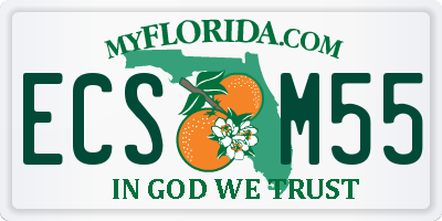 FL license plate ECSM55