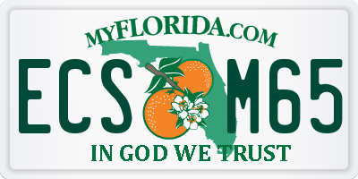 FL license plate ECSM65
