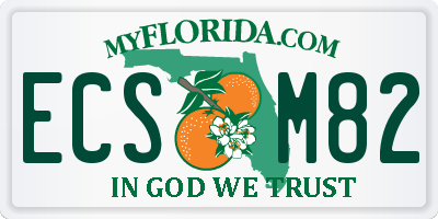 FL license plate ECSM82
