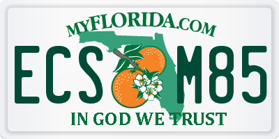 FL license plate ECSM85