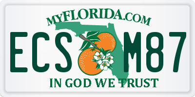 FL license plate ECSM87
