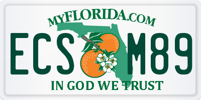 FL license plate ECSM89