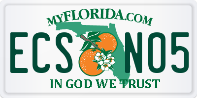 FL license plate ECSN05