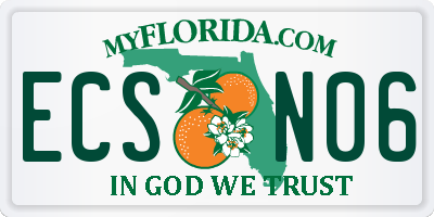 FL license plate ECSN06