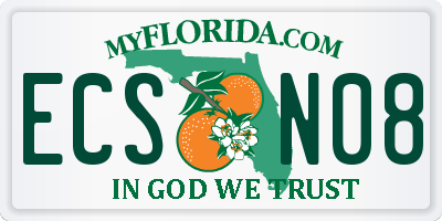 FL license plate ECSN08