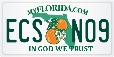 FL license plate ECSN09