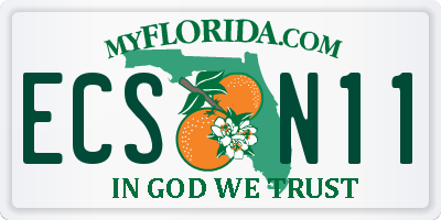 FL license plate ECSN11
