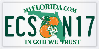 FL license plate ECSN17