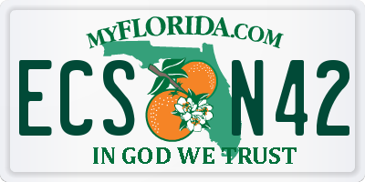 FL license plate ECSN42