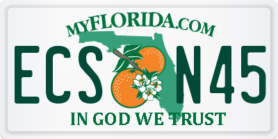 FL license plate ECSN45