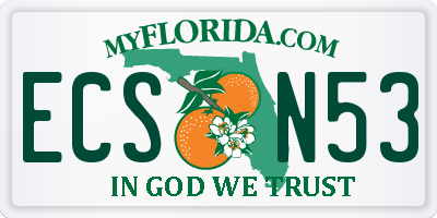 FL license plate ECSN53