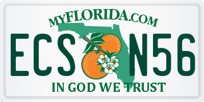 FL license plate ECSN56