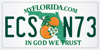 FL license plate ECSN73